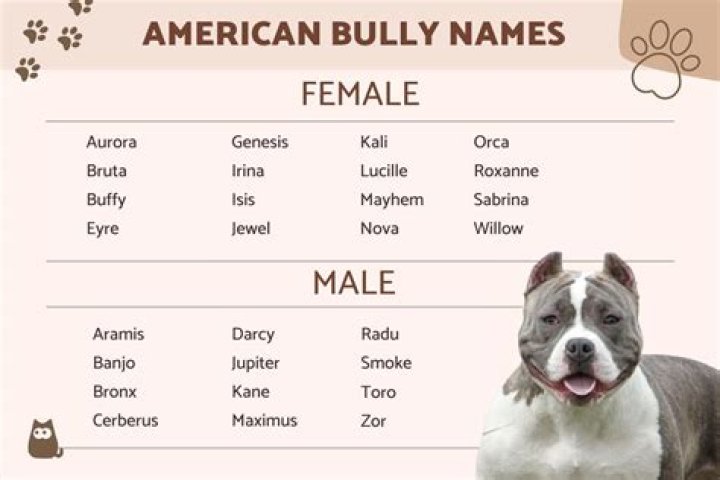 The Ultimate Guide To Bullying Prevention For Aubreigh