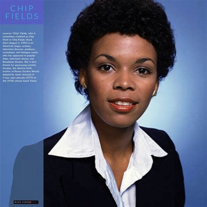 Unveiling The Secrets Of Chip Fields: Discoveries And Insights Await