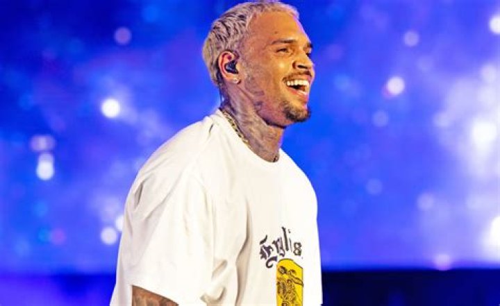 Chris Brown's Extraordinary Net Worth: A Journey Through Success