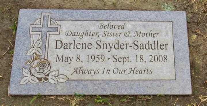 Unveil The Rising Star: Darlene Saddler's Journey And Impact