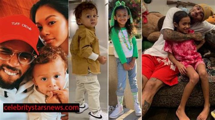How Many Children Does Chris Brown Have?