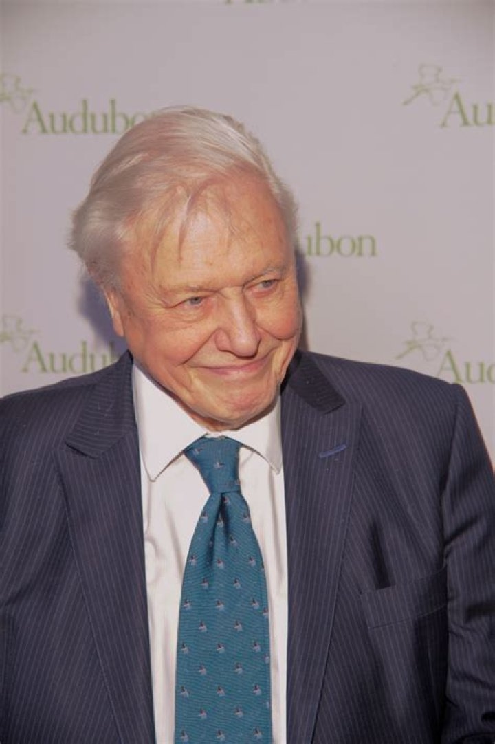The Astounding Net Worth Of David Attenborough: Unveiled