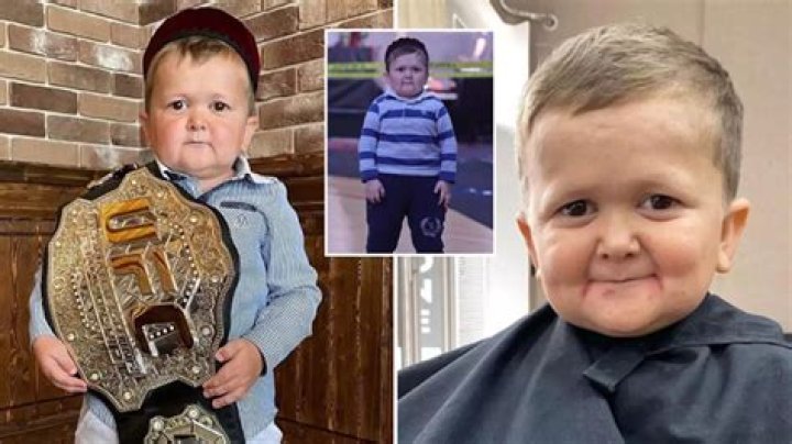 Uncover The Truth! How Old Is Hasbulla Magomedov?