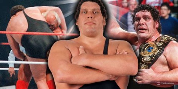 Uncover The Height Of Andre The Giant's Wife: An Intriguing Revelation