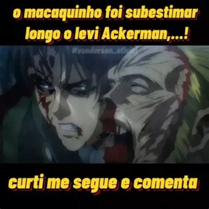 Unveiling The Jackerman Dog: A Journey Of Discoveries And Insights