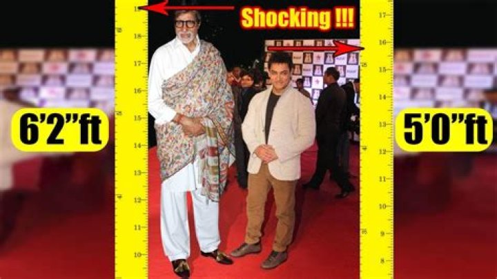 Unveiling The Secrets: Kunal Kemmu's Height Explored