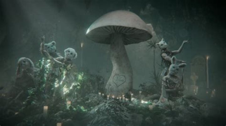 Melanie Martinez's Life Beyond The Falsehoods