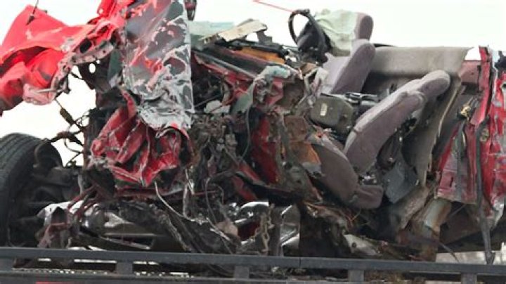 Nikki Catspuras: An Ingenious Innovator In The Fashion Industry