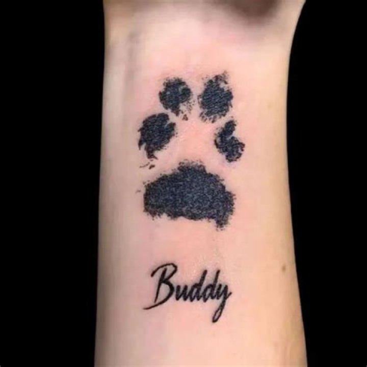 Paws Tattoo: Unlocking The Meaning Behind This Powerful Symbol