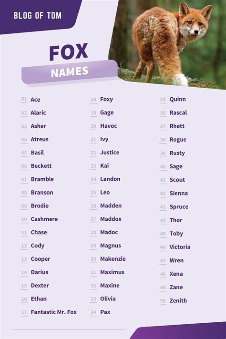 The Ultimate Guide To Catchy And Creative Pet Fox Names