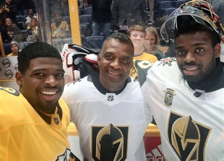 PK Subban's Brother: A Family History Of Hockey Success