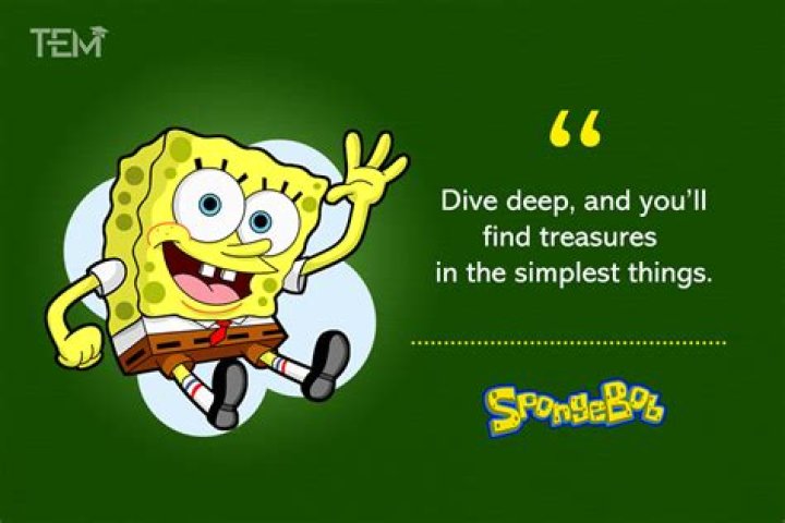 Hilarious Phrases And Witty Zingers