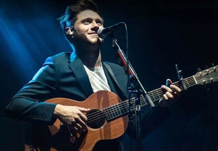 Unraveling The Multifaceted Role Of Niall Horan's Brother: Discoveries And Insights