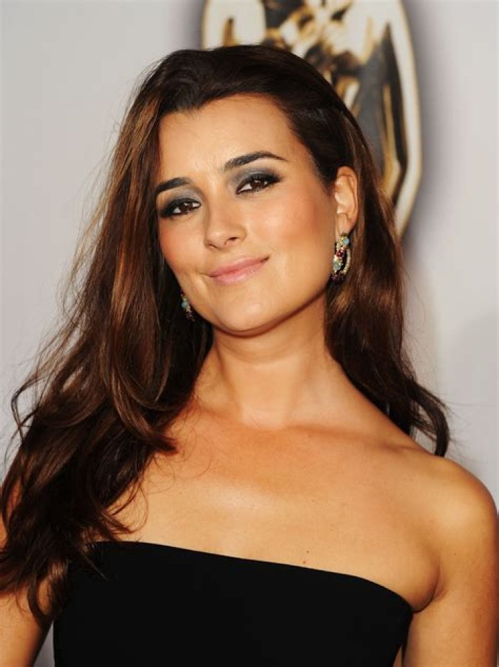 Cote De Pablo's Whereabouts And Endeavors